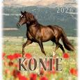 Opakowanie Kalendarz 2026 wieloplanszowy 33x33cm Konie