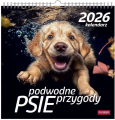 Opakowanie Kalendarz 2026 wieloplanszowy kwadrat Psy pod wodą