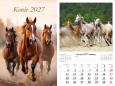 Opakowanie Kalendarz 2027 ścienny 13-k Konie
