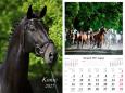 Opakowanie Kalendarz 2027 ścienny 7-k Konie