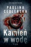 Okładka książki Kamień w wodę