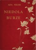Okładka książki Niedola burze