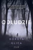 Okładka książki Odludzie