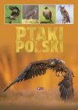 Okładka książki Ptaki Polski