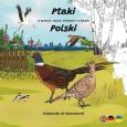 Okładka książki Ptaki w parkach, lasach, miastach i na łąkach...