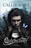 Okładka książki Quicksilver