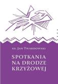 Okładka książki Spotkania na drodze krzyżowej