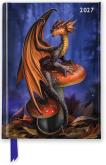 Opakowanie Terminarz 2027 A6 TW Anne Stokes