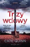 Okładka książki Trzy wdowy DL