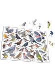 Opakowanie Układanka Garden Birds Ptaki ogrodowe polne Maxi