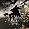 Okładka książki Wichrowe wrgórza Audiobook