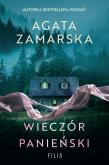 Okładka książki Wieczór panieński