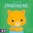 Okładka książki Zmartwienie. Moje emocje