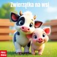 Okładka książki Zwierzątka na wsi