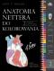 Okładka książki Anatomia Nettera do kolorowania