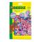 Opakowanie Koraliki do prasowania 3000 kolorowe i pachnące
