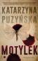 Okładka książki Motylek