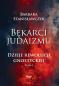 Okładka książki Bękarci Judaizmu. Dzieje rewolucji gnostyckiej T.1